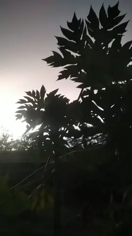 harapan yg tergantung