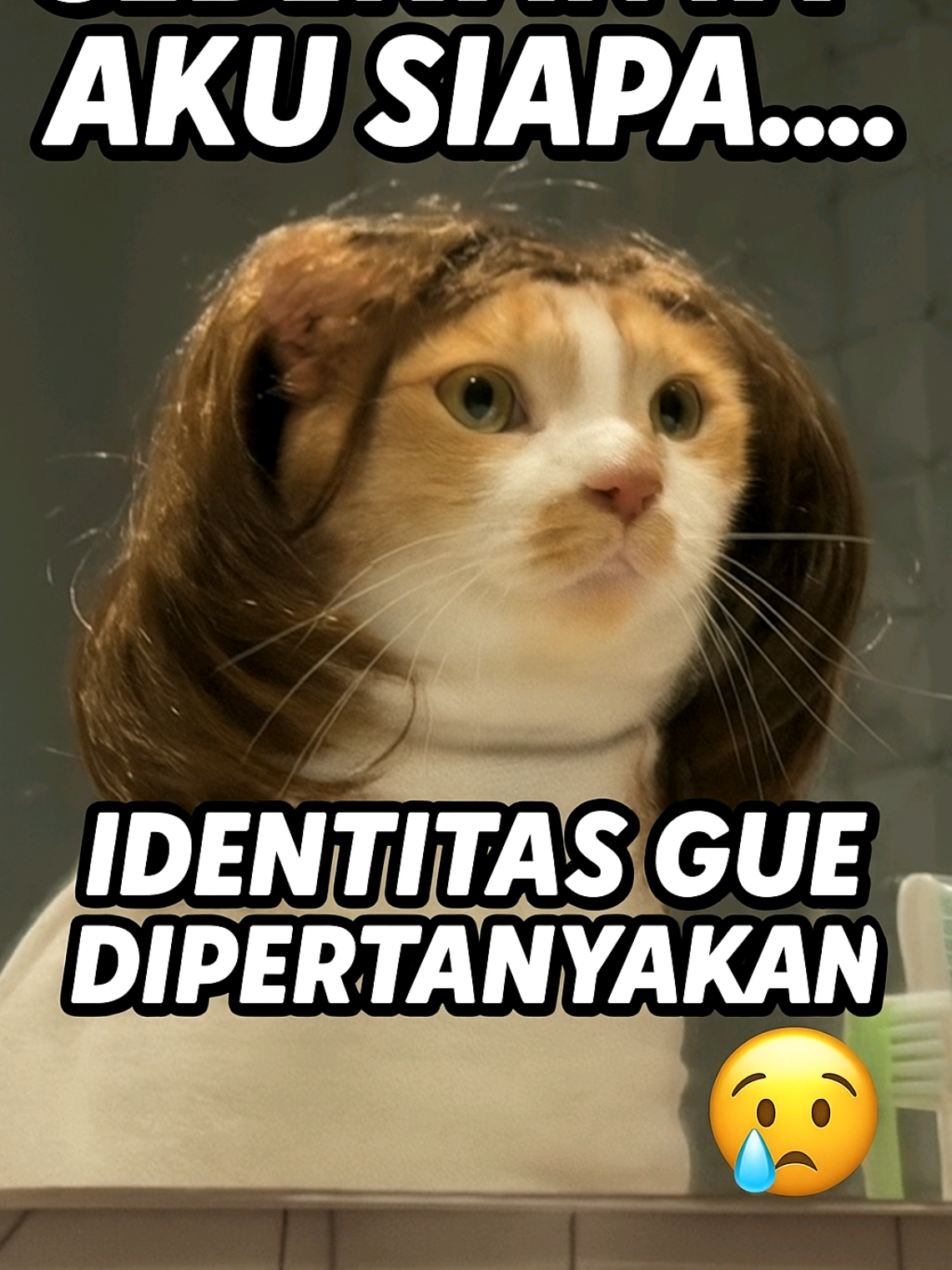 sebenarnya aku siapa ? 🙀 #kucinglucu #kucinggemoy #catlover #takdianggap #foryou 