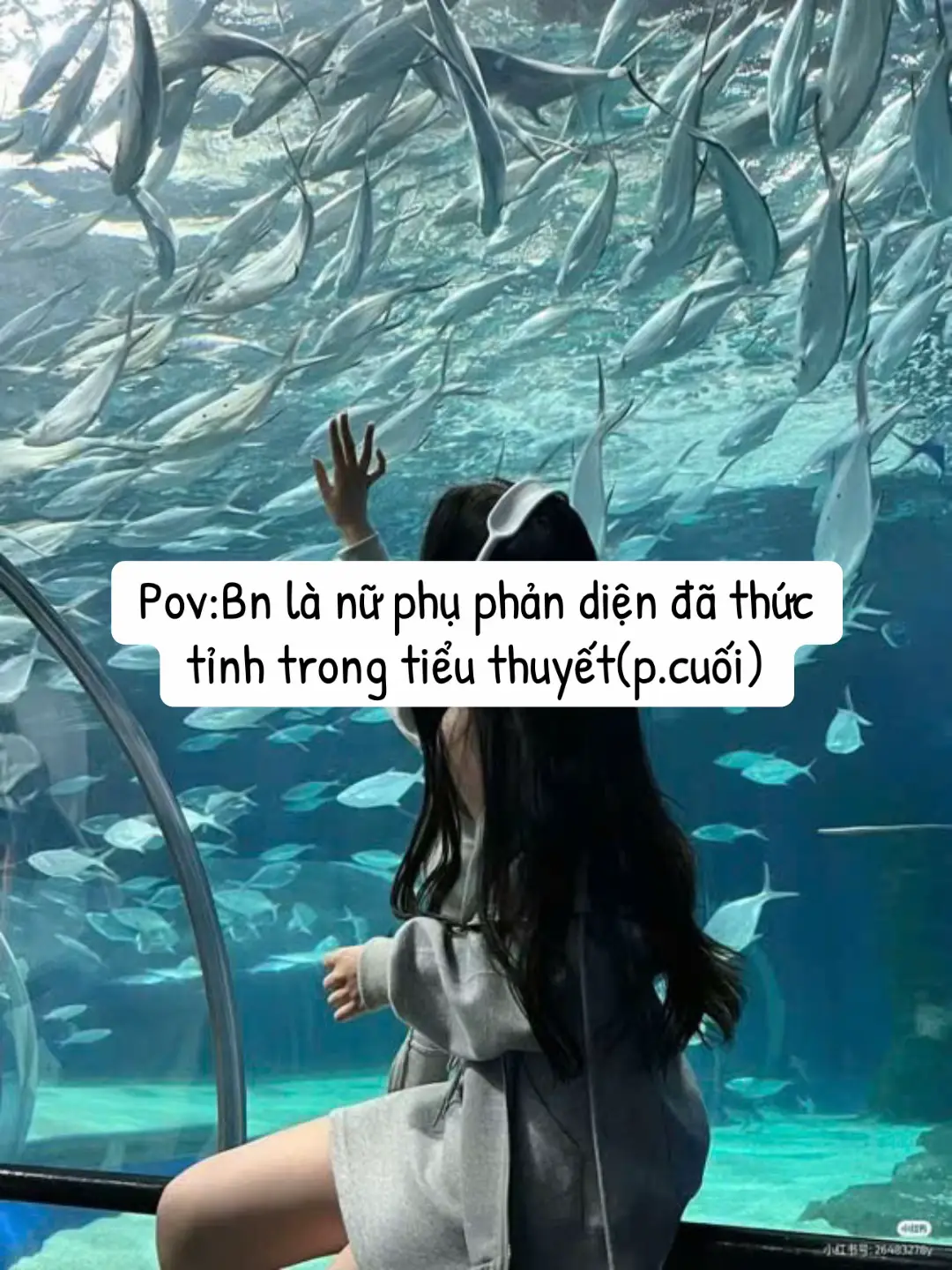 End 3 phần r nhé các ngdepp#xh #tiktok #dànhchobạn #pov #bùa_chống_flop 