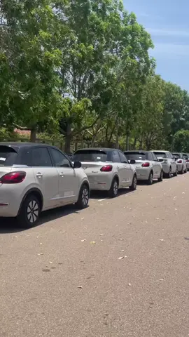 නැවෙන් බාපු ගමන් බඩු🇱🇰 ##ev #wuling #srilanka #car #wuling 