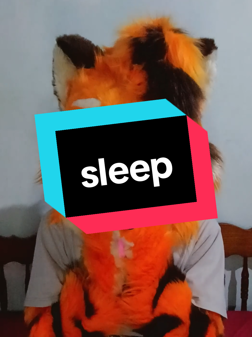 hi I disappeared for a month, I'm still alive ✌️ #fyp #fypシ #furry #furryfandom #fursuit  #fursuiter #tiger 