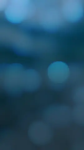 #CapCut 
