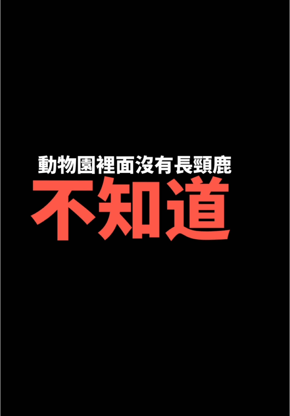 睡前小故事#笑話 #療癒#故事 #heal 