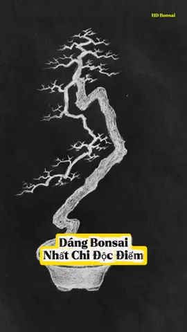 Dáng bonsai Nhất Chi Độc Điểm #hdbonsai #dungcubonsai 