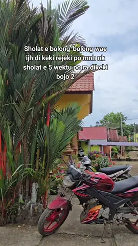1 ae nangging rezeki lancar ya Alloh#fypp #meranginjambi #istridrevertruksawit #