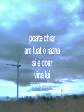mi e dor de el