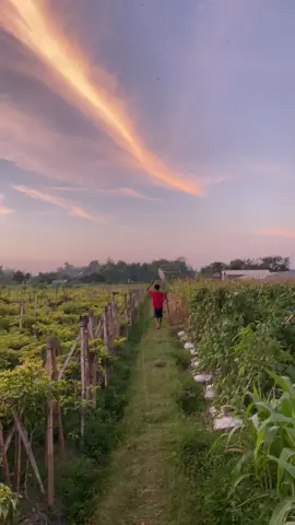 😍😍😍#pelayangkulon #langitaesthetic #pelayangblitar #nyore #fyp 