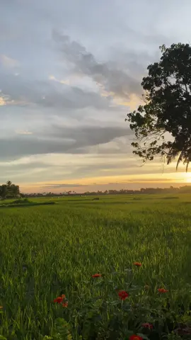 nag sunset ka pero sa probinsya 😍 #provincelife #fypage #foryoupage #trendingilocano #fyppppppppppppppppppppppp 