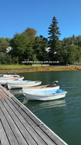 a morning on an island in Maine 