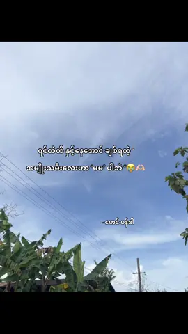 တကယ်ပါ မမ”ရယ် 😭🫶🏻 @Khin Wint Wah  … … #fyp #fypシ #fypシ゚viral #ပန်ဒါစာတို🤪 #myanmartiktok 