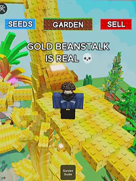 Gold beanstalk is real 💀 siapa yang udah nemu juga?