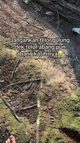 Bujang🤣🤣#foryoupage#telorgulung