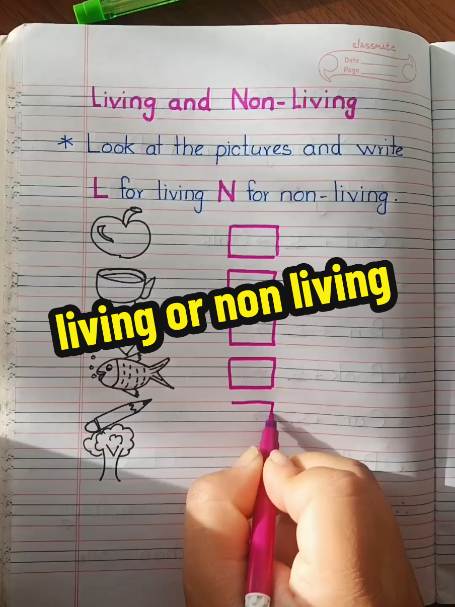 Replying to @sujatakumarigup49 😊 🙏 #well_said_great_words #minsalama #foryoupage #school_activities #teacherlife #trending #science #giverespect_takerespect #assignment_ideas #teachersoftiktok 