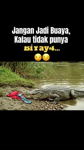 Baju aja kurang bahan.. #buaya #buayadarat #sungai #fyppppppppppppppppppppppp #ngakak 