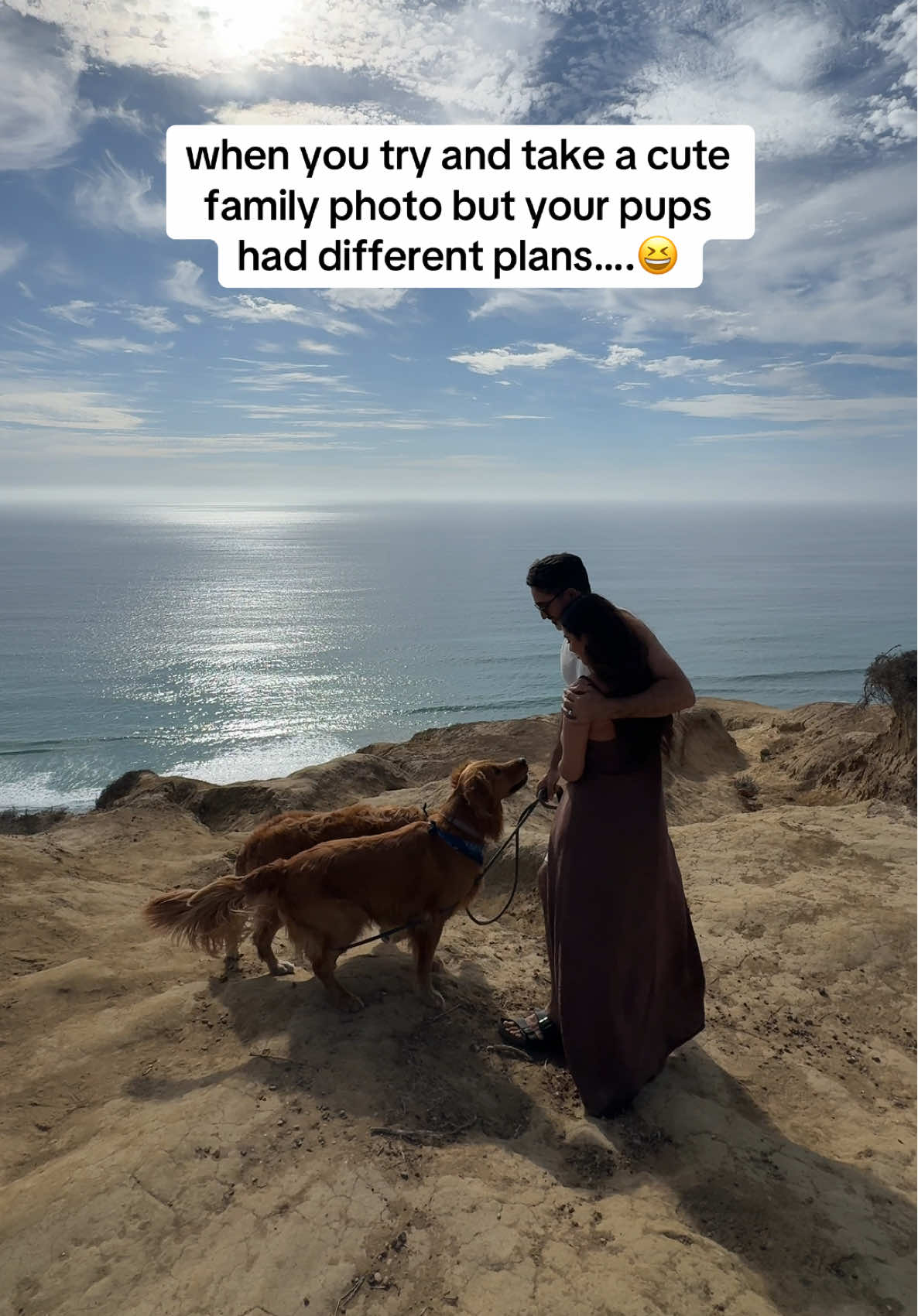 really on the edge of a cliff?! 😆😆 #fyp #dogsoftiktok #goldenretriever #funnydog 