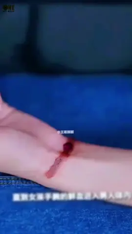 Lời nguyền thanh kiếm 900 năm#reviewphimngann🎬 