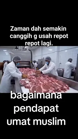 #pemotongan menggunakan teknologi mesin bagaimana pendapat umat muslim karena tidak sesuai ajaran agama islam#