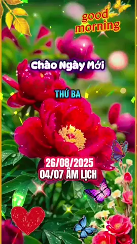 Chúc ngày mới may mắn, bình an và hạnh phúc.  #goodmorning #2025 #tiktok #@Dương Bích liễu 1971 