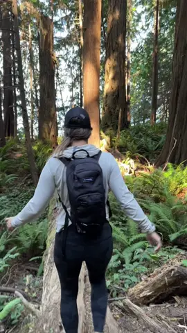 An escape off the ship into nature. Good for the heart and soul. 🌱 
