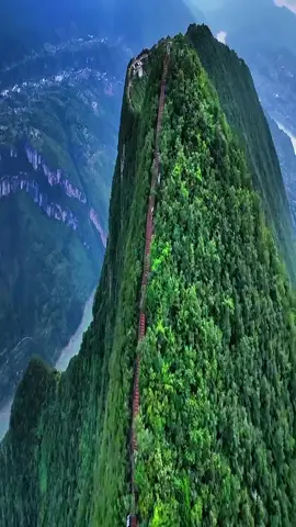 #fyppp 