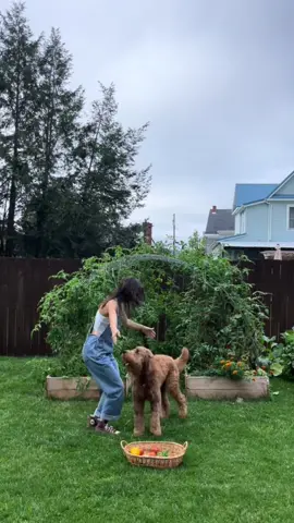 Me & the pup 