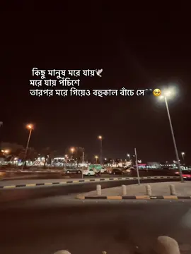 কিছু মানুষ মরে যায়🕊️মরে যায় পঁচিশে তারপর মরে গিয়েও বহুকাল বাঁচে সে🖤🥺#fyppppppppppppppppppppppp #fyyyyyyyyyyyyyyyyyyy 