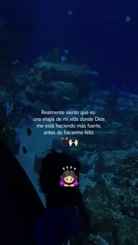 #CapCutMotivacional 