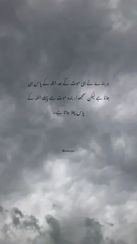 Bey Shak ❤️‍🩹💯#unfreezmyaccount #tiktokpakistan #dontunderreviewmyvideo #standwithkashmir #flood #trending #viewsproblem #tiktokpakistan #viralmyvideo #tiktokpakistan #viralmyvideo @TiktokPakistanOfficial 