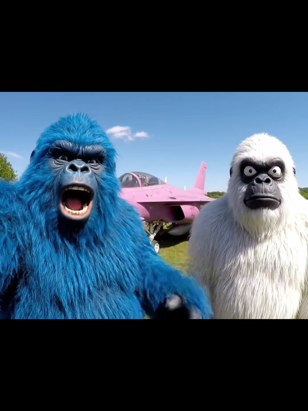On a loué un avion de chasse ! #Vlog #yeti #veo3#defi #avion #location