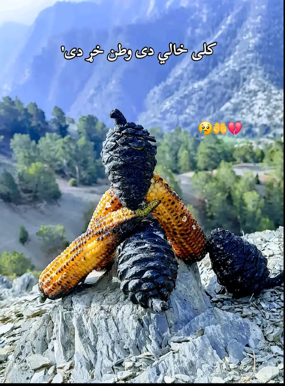 #afgnistantiktok🇦🇫 #Khost # #foryou #MuReed😘🇱🇷 @★ʜᴀɪᴅᴀʀɪ.ᴏғғɪᴄɪᴀʟ★ 