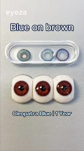 Blue lenses on brown eyes 💙✨ The contrast is unreal—so stunning! #eyeza #coloredcontacts #eyemakeuptutorial #naturallensforbrowneyes #eyezacontacts #yearlylenses #guesschallenge #naturallens #eyezalens #lenses #cosplaylenses 