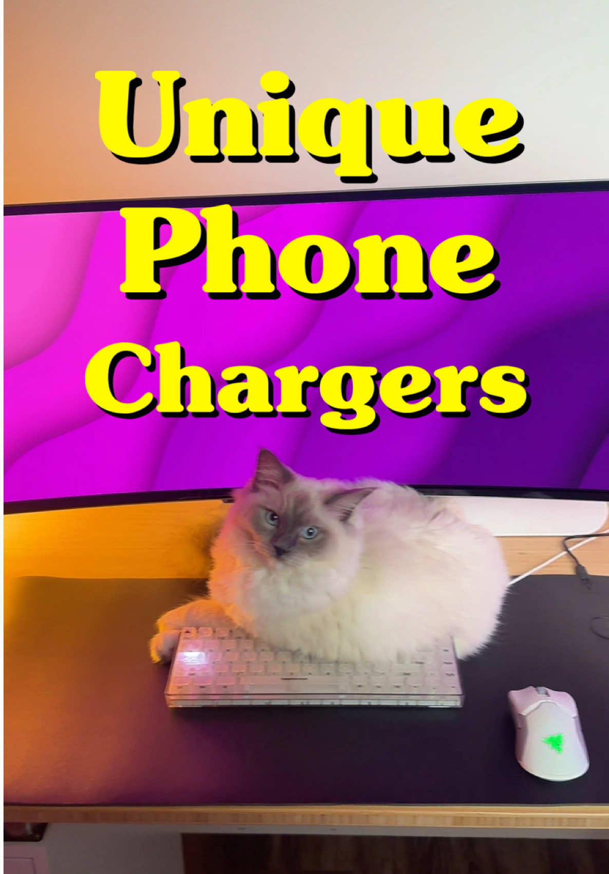 Tired of boring chargers? Inspired by @SarahGrace, I'm showing you 5 unique phone chargers that will blow your mind. Watch to find the best charger for your everyday tech needs. What’s the most creative charger you've ever owned? #sydbytes #techtok #phonechargers #gadgets #phoneaccessories 