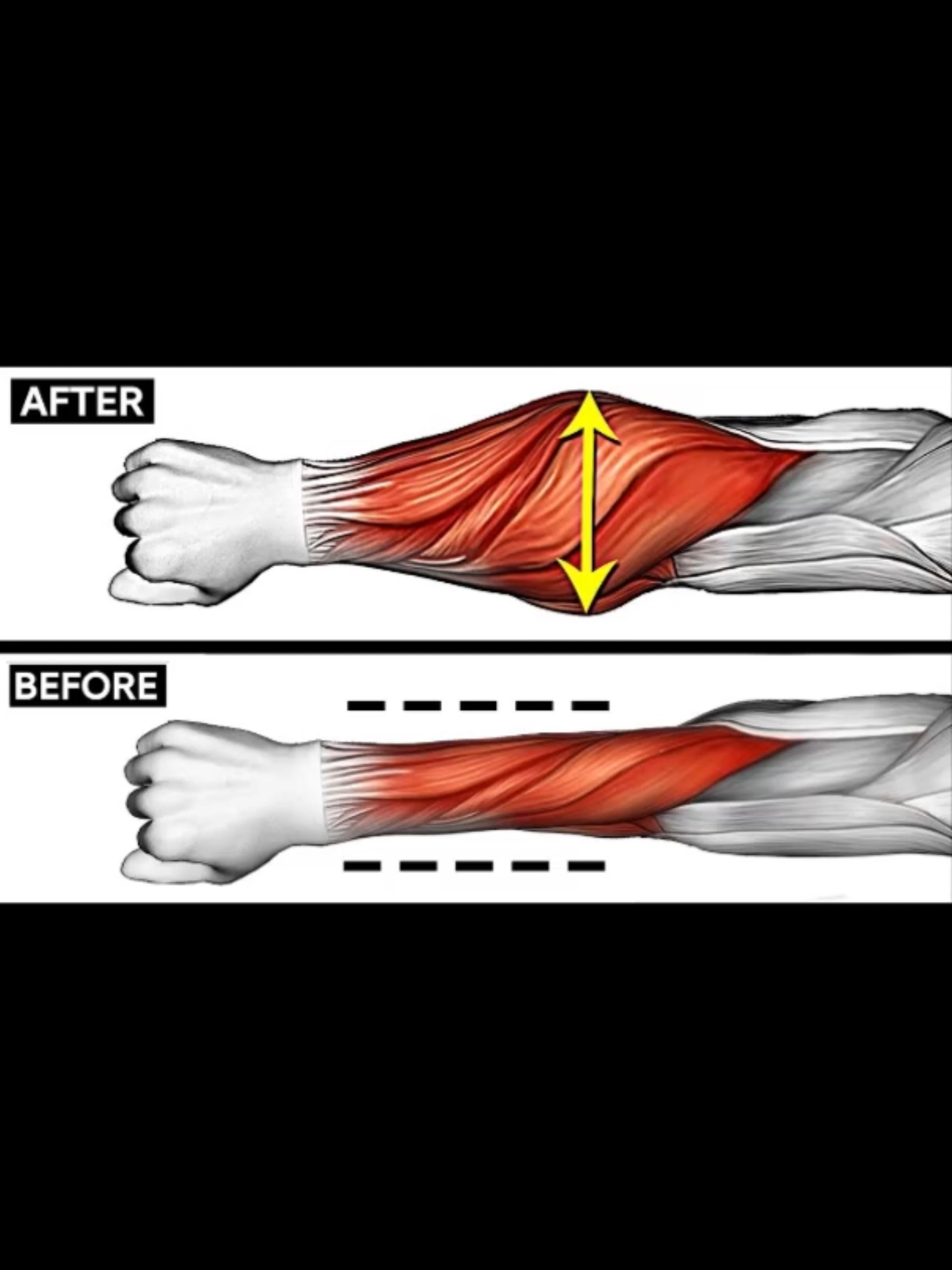5 Effective Forearms Exercises at Gym 🔥 #muscle #exercise #Fitness #workout #fit #gym #fitnesstips #workoutmotivation #workoutchallenge #Forearms #Forearmsworkout