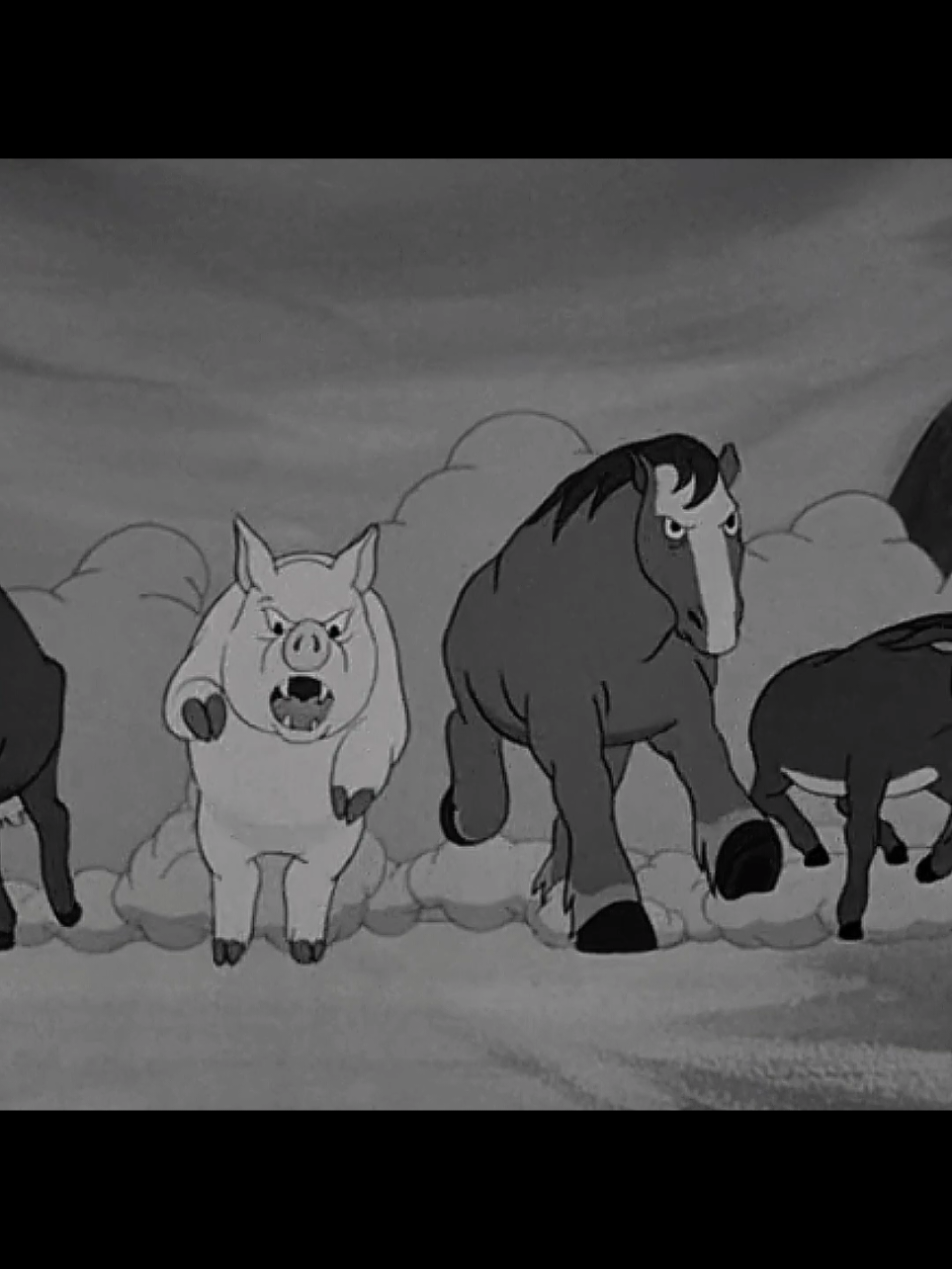 أعظم ثوره👆🔥 #animalfarm 