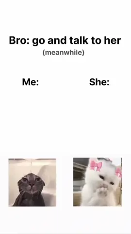 🥲....