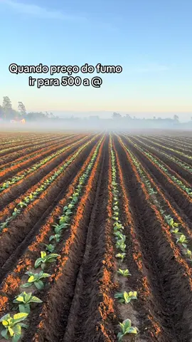 #fuma #fisica #ricos #aplicaciones #agronomia 