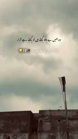 🤣🤣🤣
