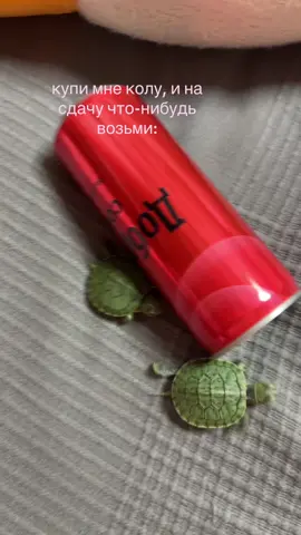 🐢🐢💕
