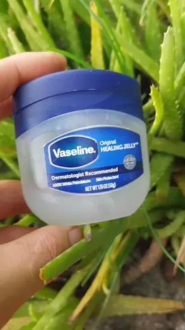 vaseline dưỡng  da mềm mịn,môi  căng  bóng #videoviral #fyp #vaseline #duongmoicangbong #moixinh 