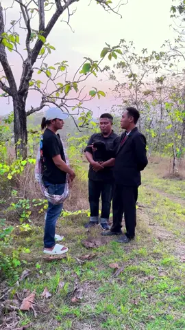 pakCO burung se melleah ombut, polan argenah tak sesuai #comadura #fypage #maduralucu #pakcotriliunanusdolar 