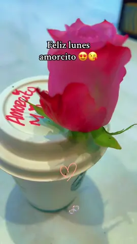 #felizlunes#amor #viral_video #😍😍😍 #tuyyo