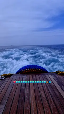 يا آية من الجمال وياك لقيت القلب قال كل الكلام اللي مداريه 🌎♥️🫂 #رامي_صبري #foryoupage 