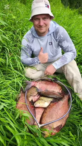р.Днепр #фидернаяловля #беларусь #рекаднепр #рыбалка #fishing 