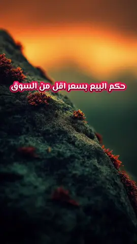 حكم البيع بسعر اقل من السوق #الشيخ_صالح_الفوزان #ليبيا #مصراته #طرابلس #بنغازي_ليبيا🇱🇾 