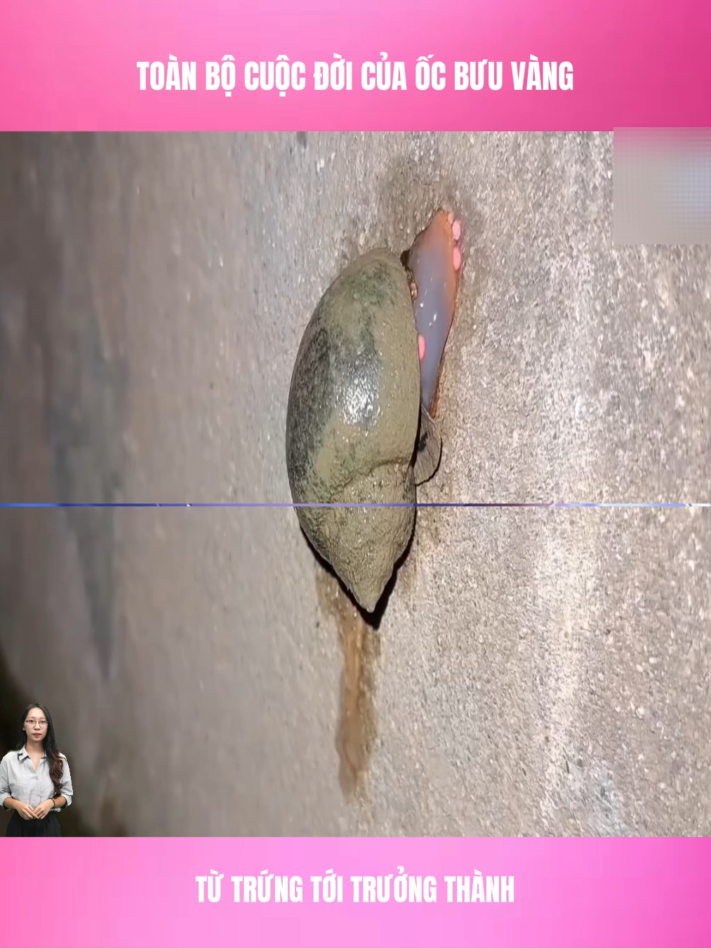 #1 #xuhuong #longvideo #longvideos #review #reviewmeovat #meovat #meovatcuocsong #topmeovat #meovathay #reviewhay #reviewkhampha #meovatynghia #tiktokmeovat #fyp #foryou