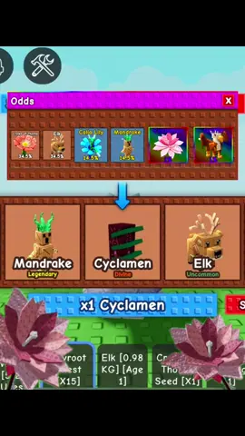 New Divine Cyclamen Seed in Grow a Garden #growagarden #growmyaccount #roblox #robloxfyp #growagardenupdate 