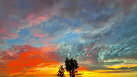 #🍂میرا-سونا_ پنڈ_لنگے-ضلع -سیالکوٹ🌅🌾🍃❤️#shabanhaider1000✅🌱 #foryoupage #unfrezzmyaccount 