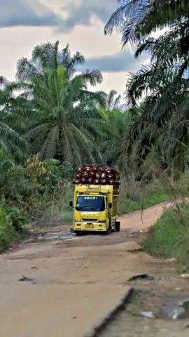 uang jalan tinggal 100 di pabrik malah gak kebongkar🤣@𝖆𝖟𝖎𝖟𝖟𝖟🚀 #trucksawitjambimerangin #truckstylejambi🔥 