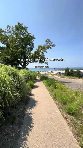 Summers in SW Michigan 🥹✨ #michigan #lakelife #girls #relatable 