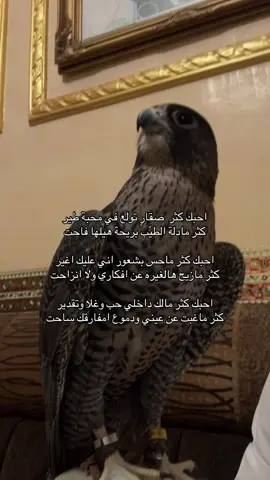 ذكرو ربكم ❣️.#اكسبلور #foryou #طيور 